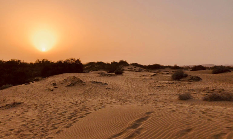 El paraíso se llama Gran Canaria